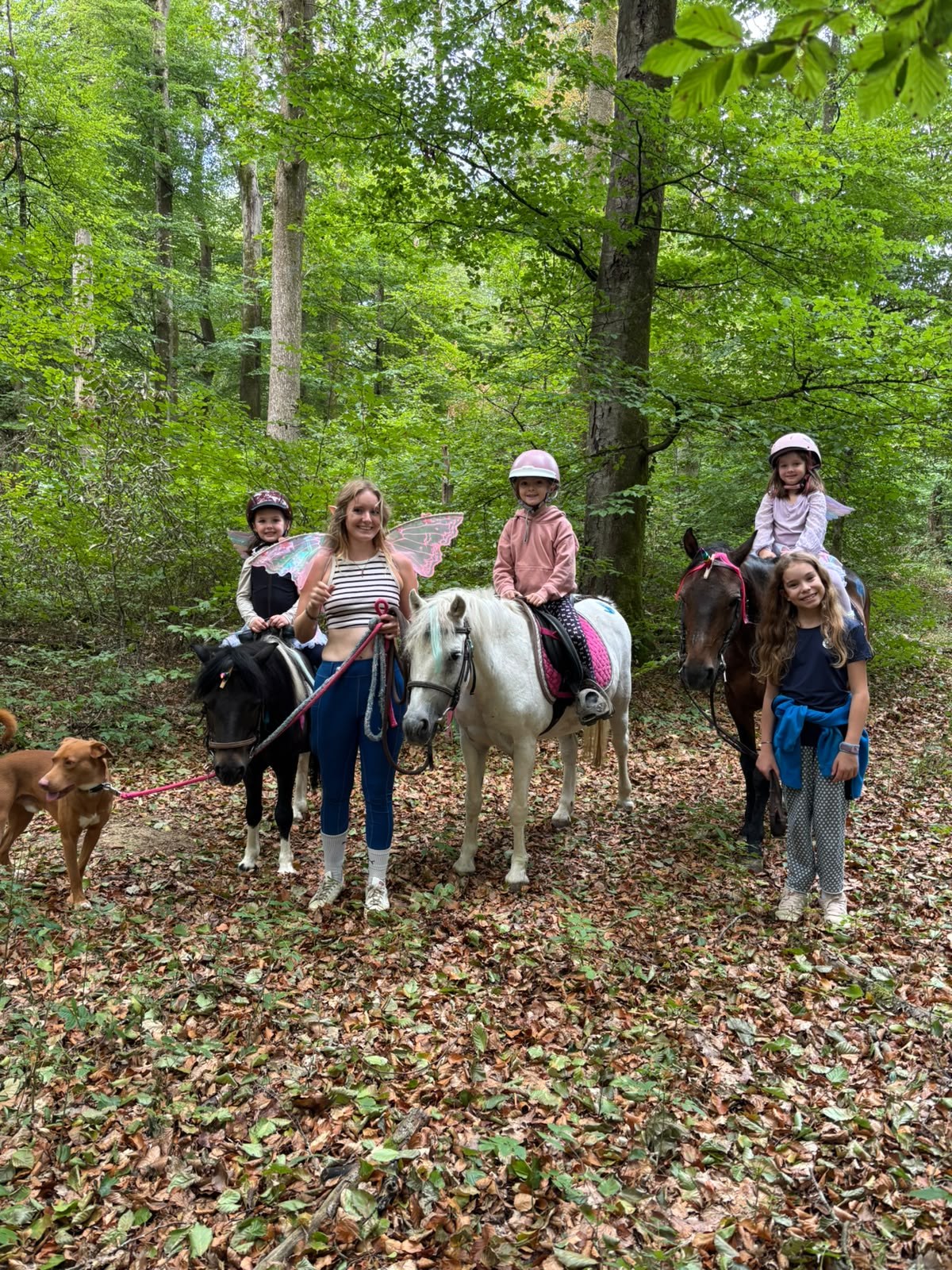 Children with ponies during an outdoor activity at Kiekelter Haff