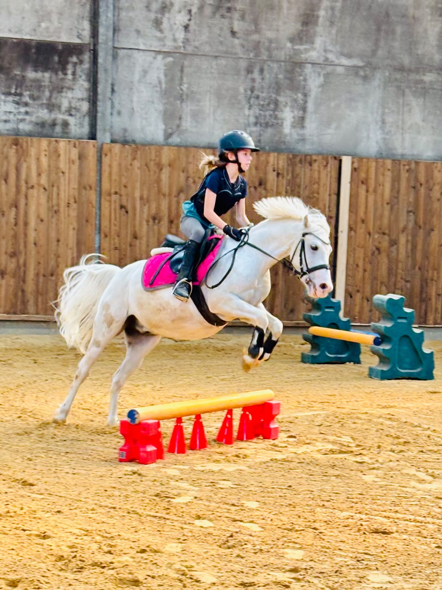 Young rider jumping a small obstacle on a white pony